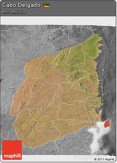 Satellite 3D Map of Cabo Delgado, desaturated