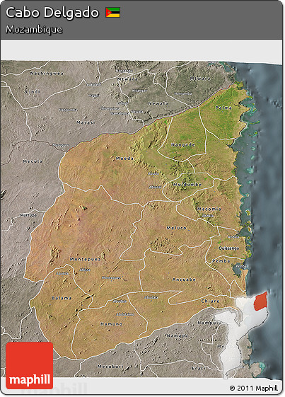 Satellite 3D Map of Cabo Delgado, semi-desaturated
