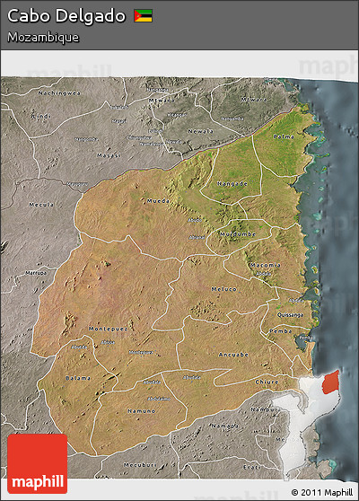 Satellite 3D Map of Cabo Delgado, semi-desaturated