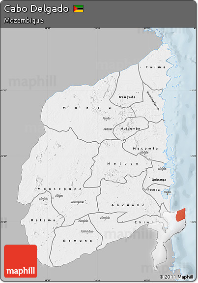 Gray Map of Cabo Delgado, single color outside