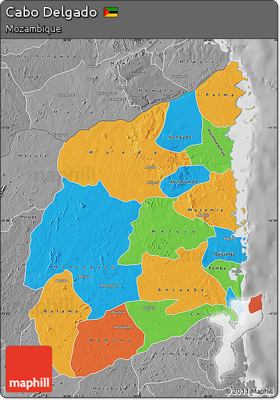 Political Map of Cabo Delgado, desaturated