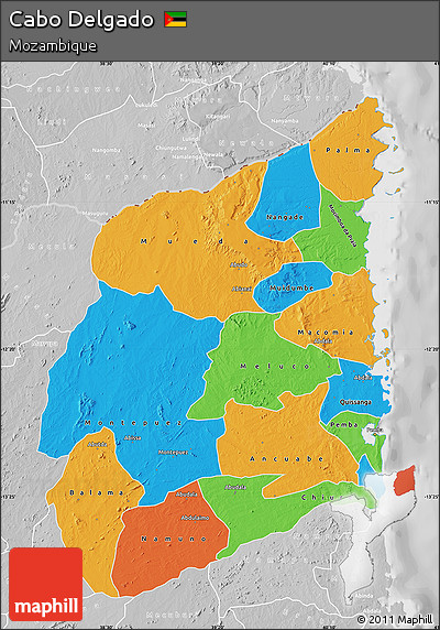 Political Map of Cabo Delgado, lighten, desaturated