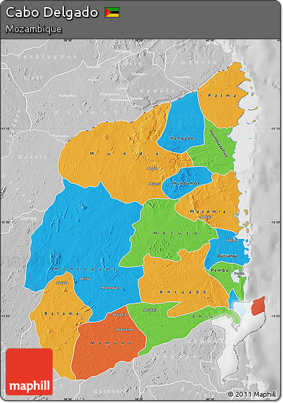 Political Map of Cabo Delgado, lighten, desaturated