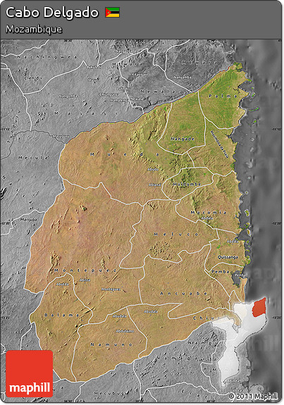 Satellite Map of Cabo Delgado, desaturated