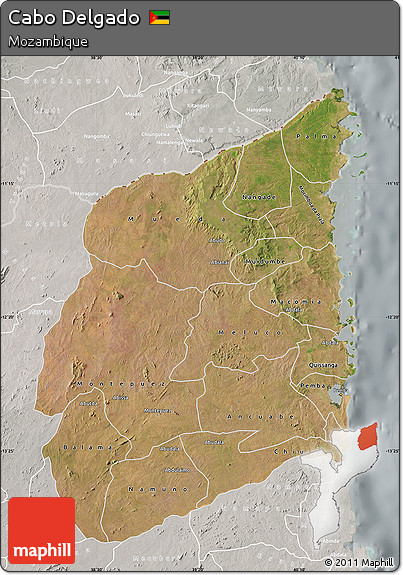 Satellite Map of Cabo Delgado, lighten, semi-desaturated
