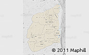 Shaded Relief Map of Cabo Delgado, lighten, desaturated