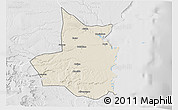 Shaded Relief 3D Map of Mocimboa da Praia, lighten, desaturated
