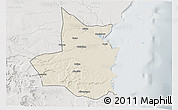 Shaded Relief 3D Map of Mocimboa da Praia, lighten, semi-desaturated