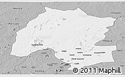 Gray Panoramic Map of Montepuez