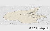 Shaded Relief Panoramic Map of Mueda, lighten, desaturated