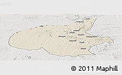 Shaded Relief Panoramic Map of Mueda, lighten, semi-desaturated