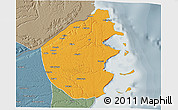 Political 3D Map of Palma, semi-desaturated