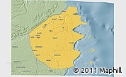 Savanna Style 3D Map of Palma
