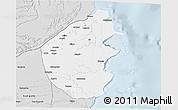 Silver Style 3D Map of Palma