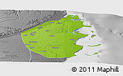 Physical Panoramic Map of Palma, desaturated
