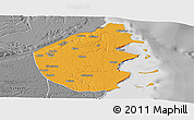 Political Panoramic Map of Palma, desaturated