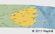 Savanna Style Panoramic Map of Palma