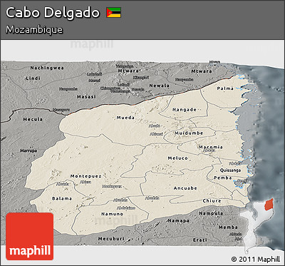 Shaded Relief Panoramic Map of Cabo Delgado, darken, semi-desaturated