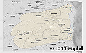 Shaded Relief Panoramic Map of Cabo Delgado, desaturated