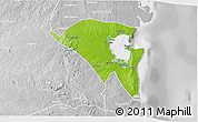 Physical 3D Map of Pemba, lighten, desaturated
