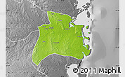 Physical Map of Quissanga, desaturated