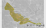 Satellite 3D Map of Chokwe, lighten, desaturated