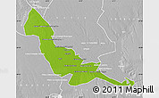 Physical Map of Chokwe, lighten, desaturated