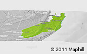 Physical Panoramic Map of Jangamo, lighten, desaturated