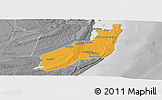 Political Panoramic Map of Jangamo, desaturated