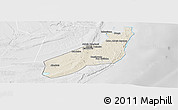 Shaded Relief Panoramic Map of Jangamo, lighten, desaturated