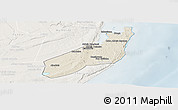 Shaded Relief Panoramic Map of Jangamo, lighten