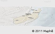 Shaded Relief Panoramic Map of Jangamo, lighten, semi-desaturated