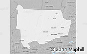 Gray 3D Map of Panda