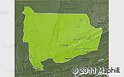 Physical 3D Map of Panda, darken, semi-desaturated