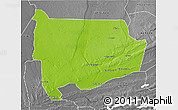 Physical 3D Map of Panda, desaturated