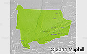 Physical 3D Map of Panda, lighten, desaturated