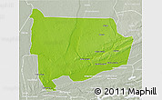 Physical 3D Map of Panda, lighten, semi-desaturated