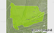 Physical 3D Map of Panda, semi-desaturated