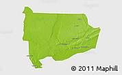Physical 3D Map of Panda, single color outside