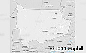 Silver Style 3D Map of Panda