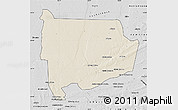 Shaded Relief Map of Panda, desaturated