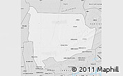 Silver Style Map of Panda