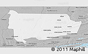 Gray Panoramic Map of Panda