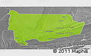 Physical Panoramic Map of Panda, desaturated