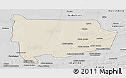 Shaded Relief Panoramic Map of Panda, desaturated