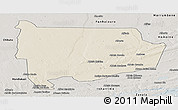 Shaded Relief Panoramic Map of Panda, semi-desaturated