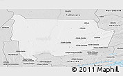 Silver Style Panoramic Map of Panda