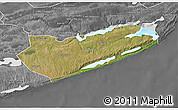 Satellite 3D Map of Zavala, desaturated