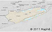 Shaded Relief 3D Map of Zavala, desaturated