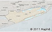 Shaded Relief 3D Map of Zavala, semi-desaturated